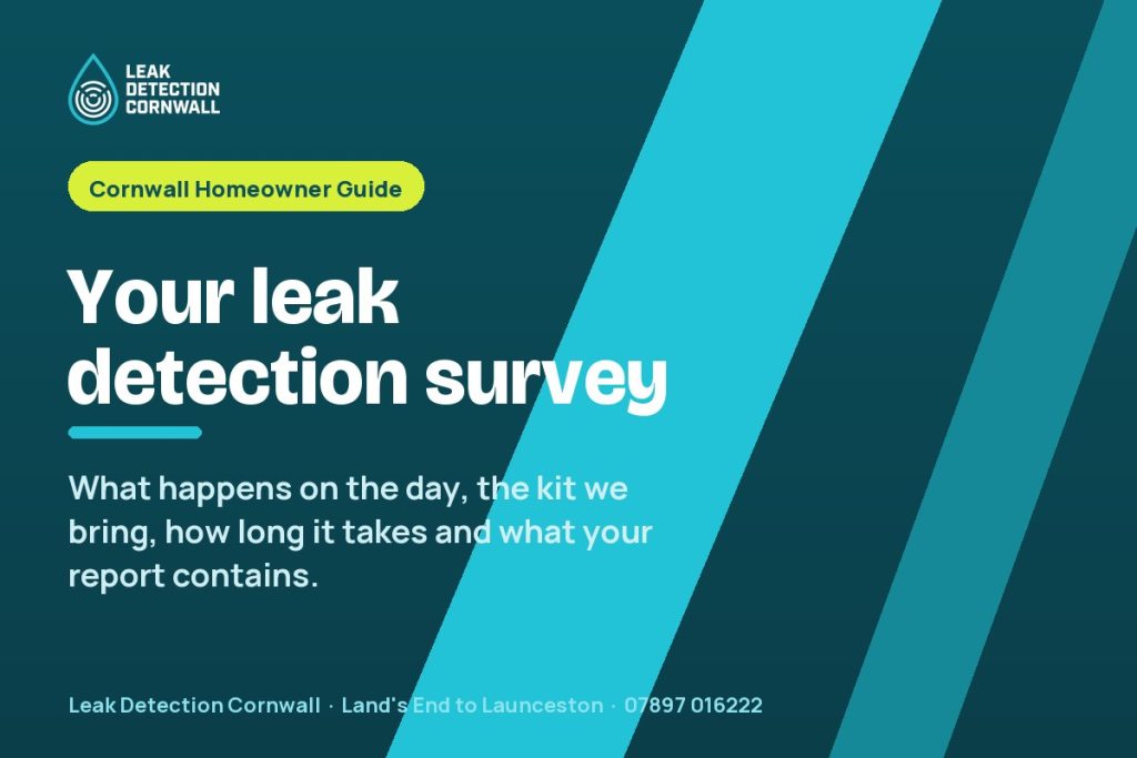 What to Expect From a Professional Leak Detection Survey