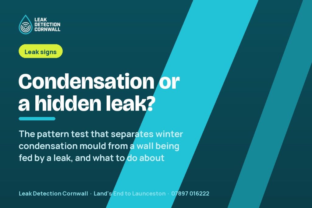 Black Mould Coming Back Every Winter: Condensation or a Hidden Leak? | Leak Detection Cornwall