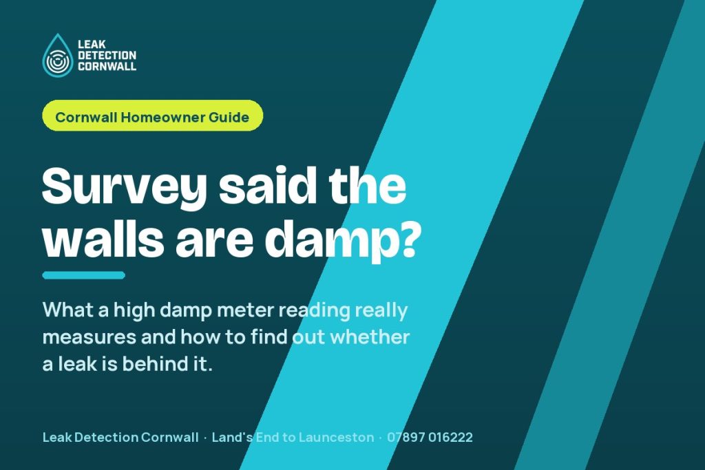 The Surveyor's Damp Meter Read High: What the Numbers Actually Mean | Leak Detection Cornwall