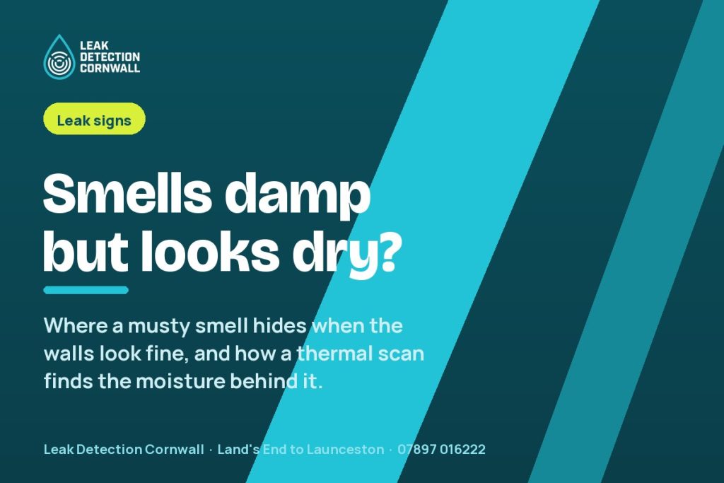 Musty Smell in a Room With No Visible Damp | Leak Detection Cornwall