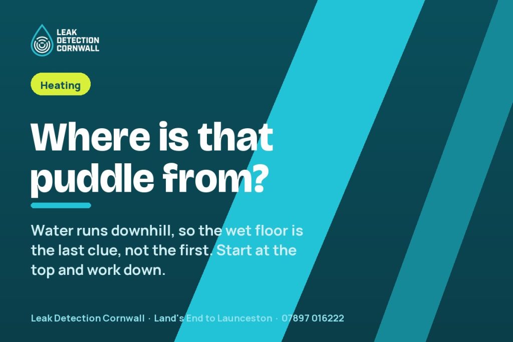 Puddle Under the Radiator: Valve, Bleed Point or the Pipe Below? | Leak Detection Cornwall