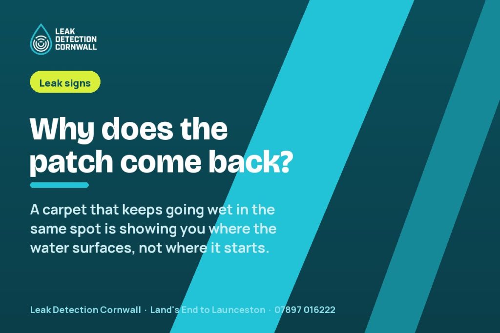 Wet Carpet in One Spot That Keeps Coming Back | Leak Detection Cornwall