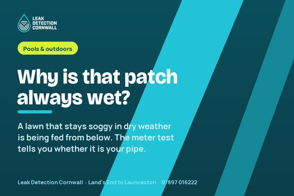 Wet Patch in the Garden That Never Dries Out | Leak Detection Cornwall